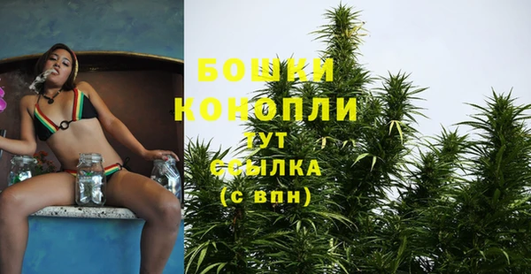 PSILOCYBIN Белая Калитва
