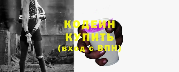 гашик Бежецк