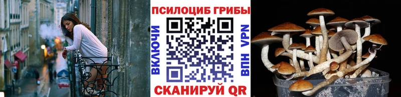 купить закладку  Кыштым  Псилоцибиновые грибы MAGIC MUSHROOMS 