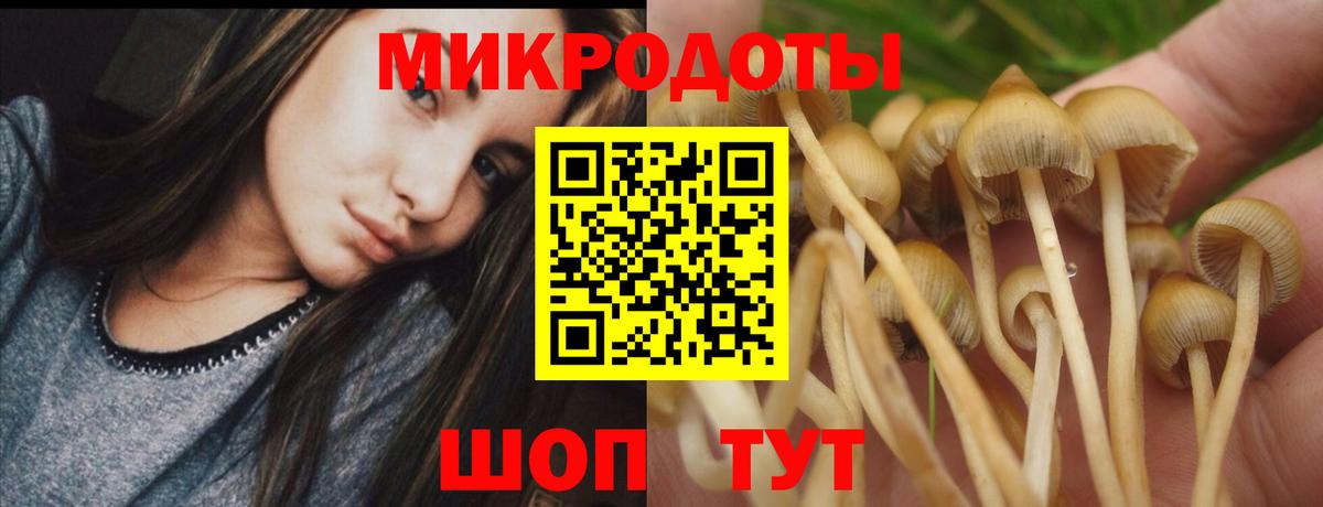 Галлюциногенные грибы прущие грибы Кыштым